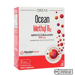 Ocean Methyl B12 500 мкг 5 мл спрей
