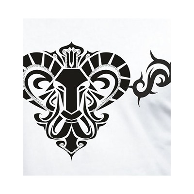 Футболка FREEdom "Aries"