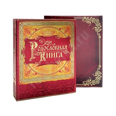 Родословная книга "История семьи"