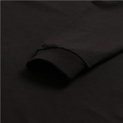 Свитшот мужской, цвет чёрный, размер 54 (2XL)