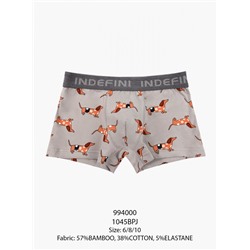 Детские трусы для мальчиков "Индефини" (Арт.994000-1045BPJ)