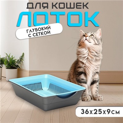 Туалет глубокий с сеткой 36 х 25 х 9 см, голубой/серый