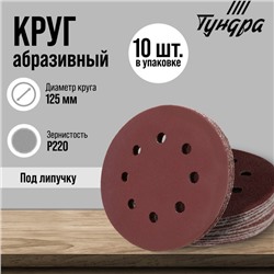 Круг абразивный шлифовальный под "липучку" ТУНДРА, перфорированный, 125 мм, Р220, 10 шт.