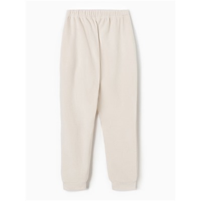 Брюки флисовые мужские спортивные MINAKU: Fleece Soft цвет бежевый, р-р 46