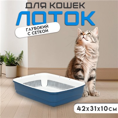 Лоток большой с сеткой Atlantis "Стандарт", 42 х 31 х 10 см, синий,