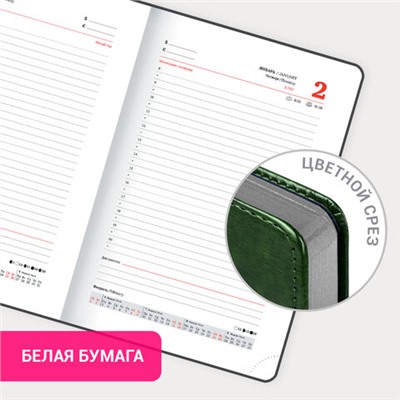 Ежедневник датированный 2025, А5, 138x213 мм, BRAUBERG "Inspiration", под кожу, цветной срез, темно-зеленый, 115904