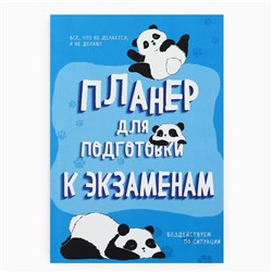 Планер для подготовки к экзаменам, А5 60 л. Мягкая обложка «Панда»