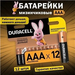Батарейки Duracell Basic мизинчиковые АА- ААA LR03 (12 штук в упаковке) 22.02.