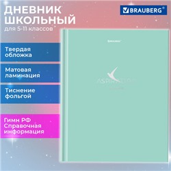 Дневник 5-11 класс 48 л., твердый, BRAUBERG, фольга, с подсказом, Aspiration, 107199