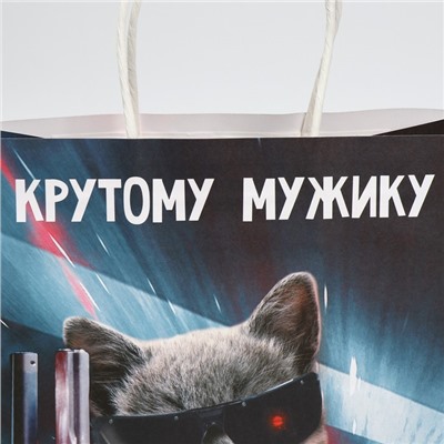Пакет подарочный, упаковка, «Мужику», 22 х 22 х 11 см
