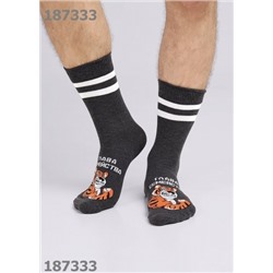 CLEVER Носки муж.К3424 23Ф хл+эл
