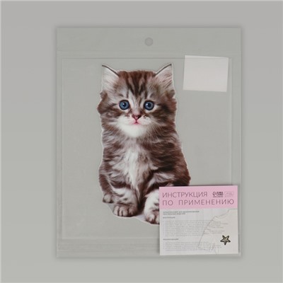 Термотрансфер «Котёнок», 11,6 × 19 см, цена за 1 лист