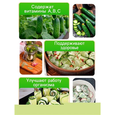 Семена Огурец партенокарпический "Крош", F1, 10 шт