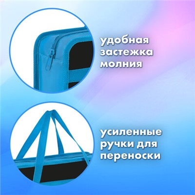 Папка на молнии с ручками BRAUBERG А4, 1 отделение, пластик, 80 мм, "Open space", 272168