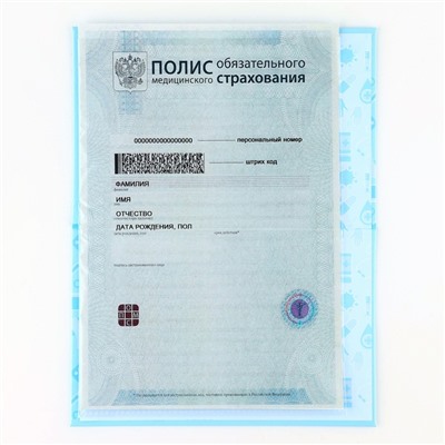 Папка для медицинского полиса «Медицина», 17.5×11.3 см.
