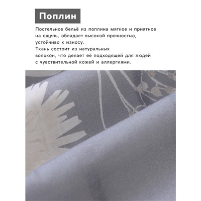 Комплект постельного белья «Этель» Евро Dandelion wine, 200×217 см, 220×240 см, 50×70 см-2 шт., поплин 125 г/м², хлопок