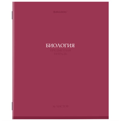 Тетради предметные, КОМПЛЕКТ 13 ПРЕДМЕТОВ, 36л, обложка мелованная бумага, BRAUBERG, КОЛОР, 405161
