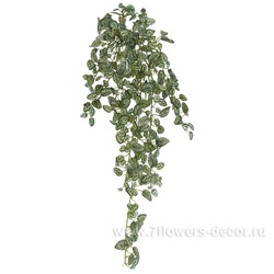Растение искусственное "Фиттония", 300 листьев, 80 см
