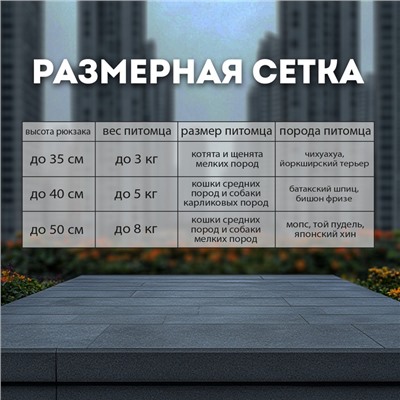 Рюкзак-переноска для кошек и собак, оксфорд+сетка, 32 х 28 х 40 см, серый