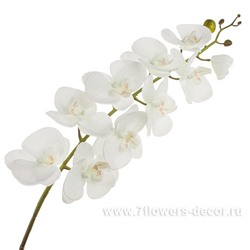 Цветок искусственный "Фаленопсис", 112 см