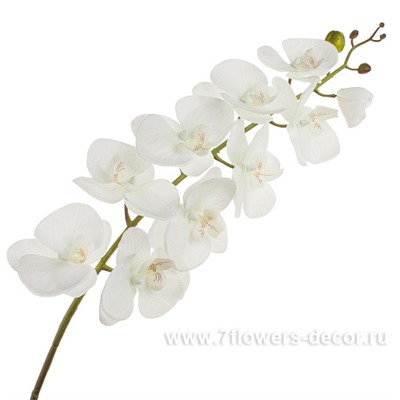 Цветок искусственный "Фаленопсис", 112 см