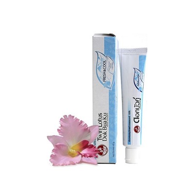 Зубная паста Twin Lotus с травами свежесть и прохлада, 40 гр