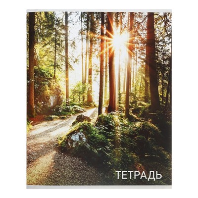 Тетрадь 96 листов в клетку Calligrata «Природа», обложка мелованный картон, блок №2, белизна 75% (серые листы), МИКС