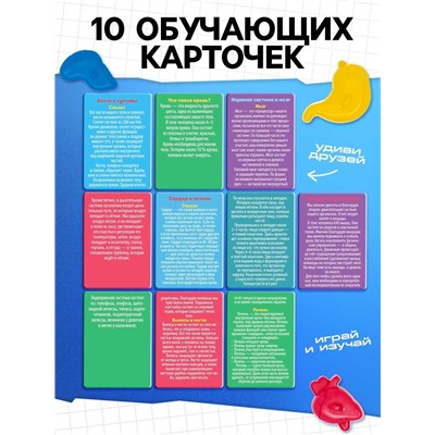 Набор для опытов «Мое удивительное тело»