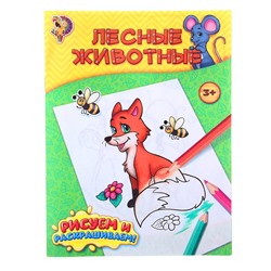 Раскраска детская «Лесные животные», 12 стр.