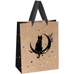 Пакет подарочный 18*23*10см MESHU "Moon cat", фольга, крафт