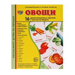 Демонстрационные картинки "Овощи" 16 шт, 17 х 22 см