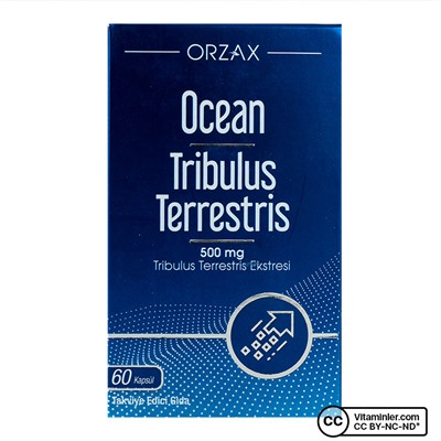 Ocean Tribulus Terrestris 60 капсул