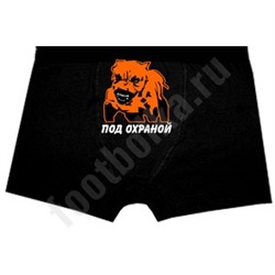 Трусы мужские "Под охраной"