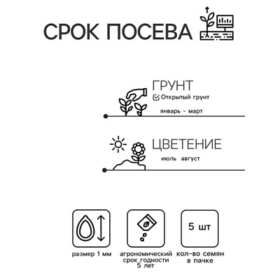 Семена цветов Ранункулюс "Блюмингдейл", 5 шт.