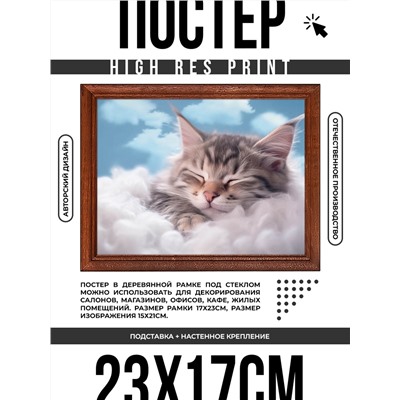 POSG-0342 Постер в рамке 23x17см Спящий котёнок