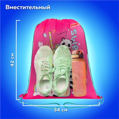 Мешок для обуви ПИФАГОР, 1 отделение, 42х34 см, "Sweet mood", 272384