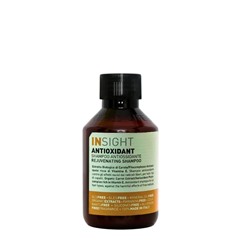 Шампунь антиоксидант для перегруженных волос / ANTIOXIDANT 100 мл