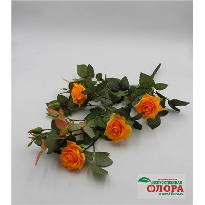 Роза кустовая малая (ВМ-60)