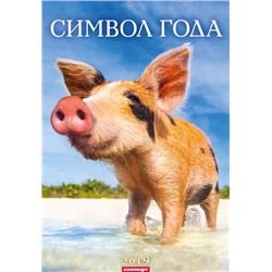 Символ года 2019