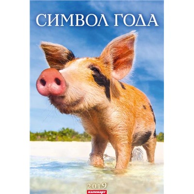 Символ года 2019