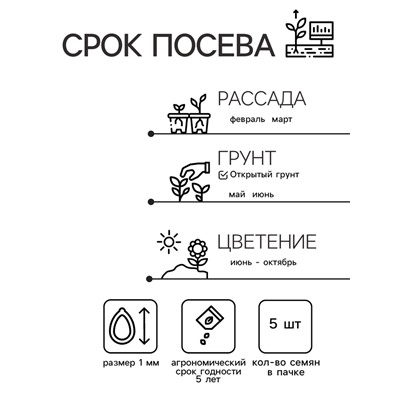 Семена цветов Петуния "Е3 Изи Вейв Вайт F1", 5 шт