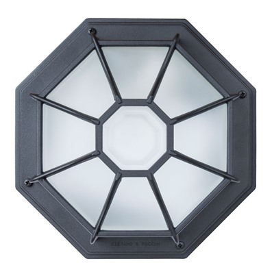 Нарушена упаковка.    Уличный настенно-потолочный светильник Arte Lamp Pegasus A3100PL-1BK