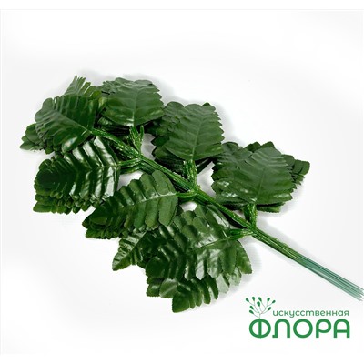 Лист Папоротника «Орляк» (упаковка 20 штук) (500-3)