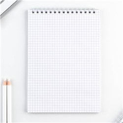 Блокнот, А5, 40 л., обложка картон «Котик»