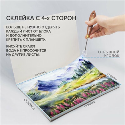 Папка для акварели/планшет, 300 г/м2, 190х270 мм, склейка, крупное зерно, 20 л., BRAUBERG ART PREMIERE, 113247