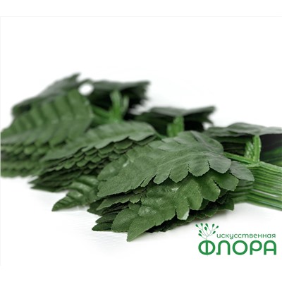 Лист Папоротника «Орляк» (упаковка 20 штук) (500-3)