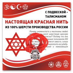 KN323 Красная нить Лягушка с монетой (богатство)
