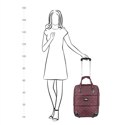 Дорожная сумка на колесах П7095 (Черный)