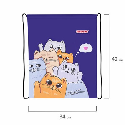 Мешок для обуви ПИФАГОР, 1 отделение, 42х34 см, "Cats greetings", 272382