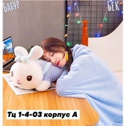 Плюшевый мягкая игрушка с пледом. 20.09.